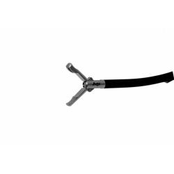 Зажим (анатомический 