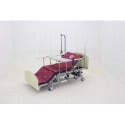 Кровать электрическая Med-Mos DB-11А (ММ-221ТПН) белый стандарт с боковым переворачиванием, туалетным устройством и функцией «ка