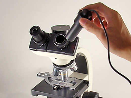 Как присоединить цифровую камеру к микроскопу